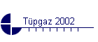 Tüpgaz 2002