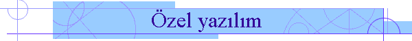 zel yazlm