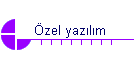 zel yazlm