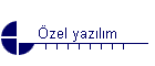 zel yazlm